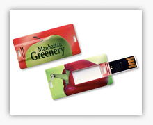 USB card o Mini